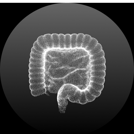 Digestive Health & Gut Comfort